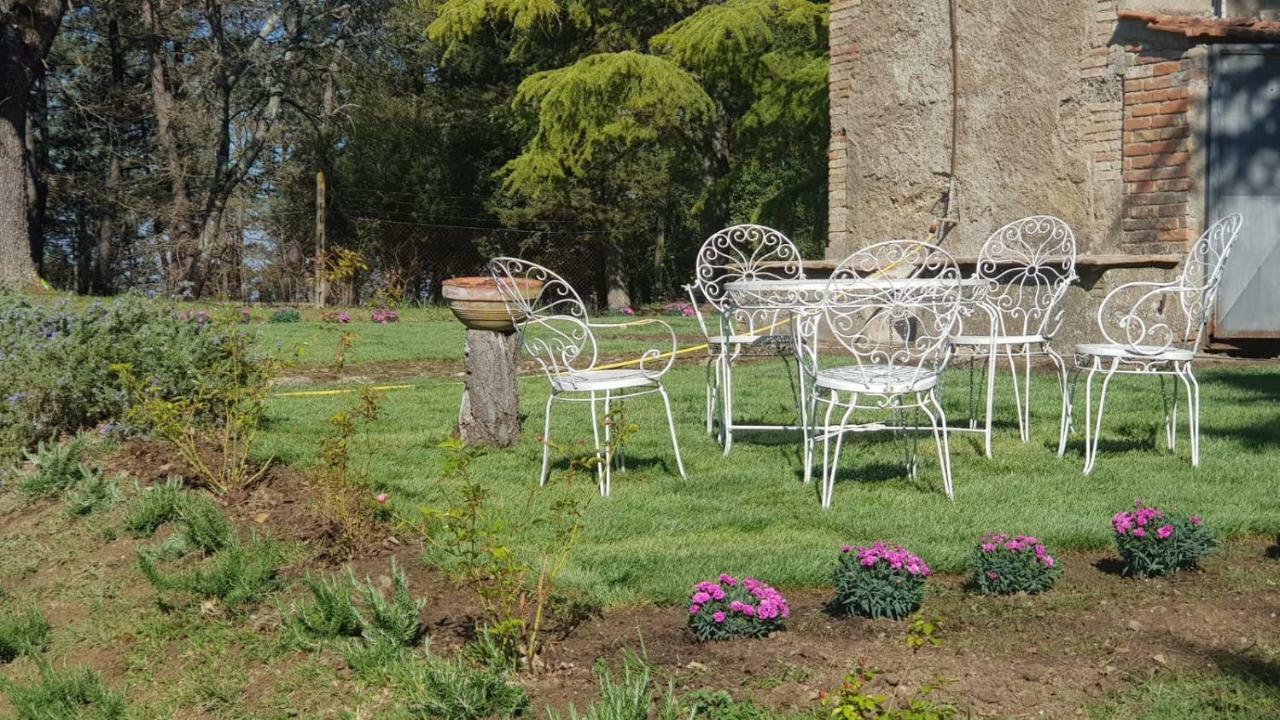 Borgo Fontaccia Bed & Breakfast San Gimignano Bagian luar foto