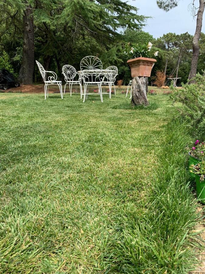 Borgo Fontaccia Bed & Breakfast San Gimignano Bagian luar foto